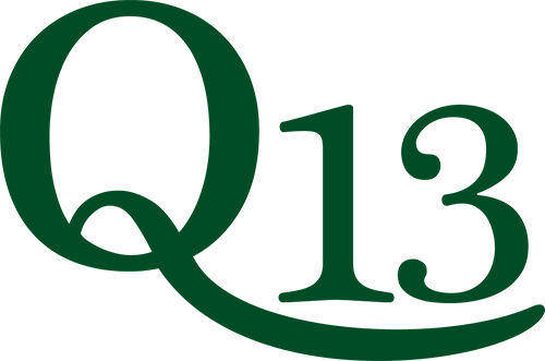 Q13 Pénzügyi Zrt – Bejelentővonal